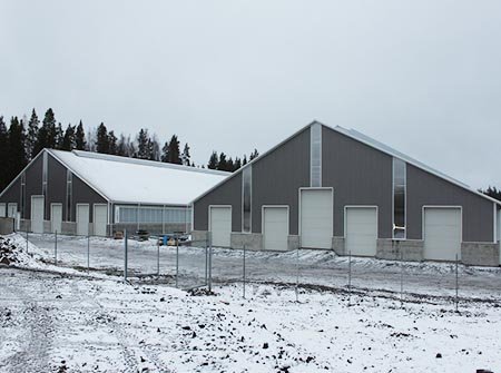 Bâtiment des hangars de vache en Pologne